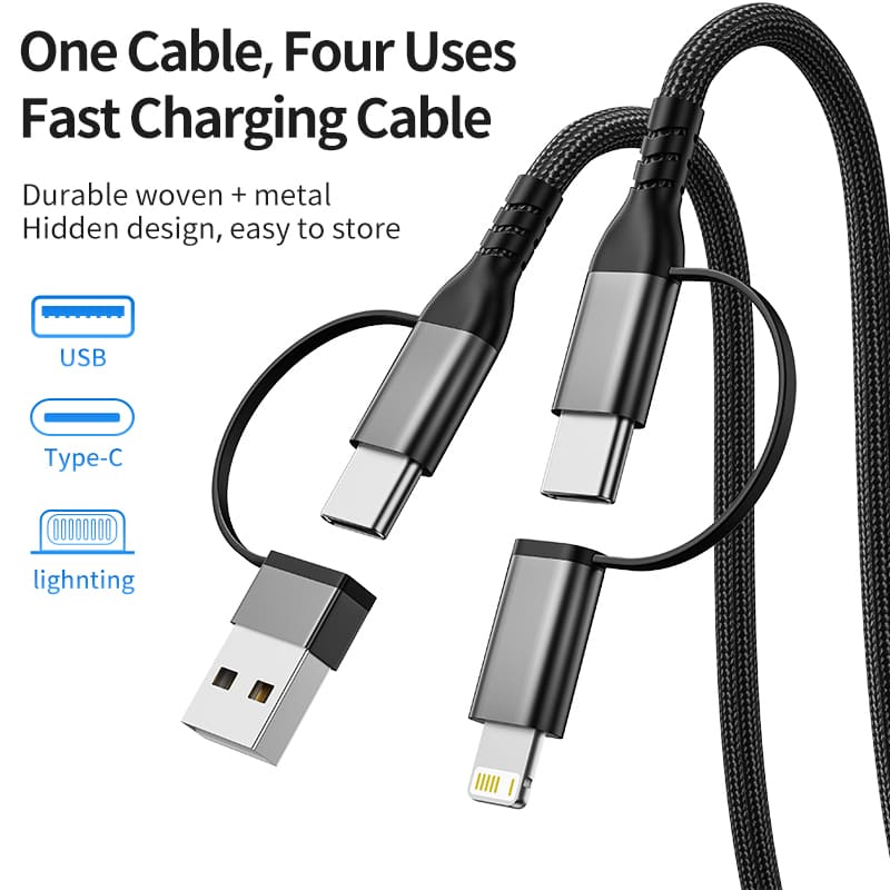 2-in-2-out Cable
